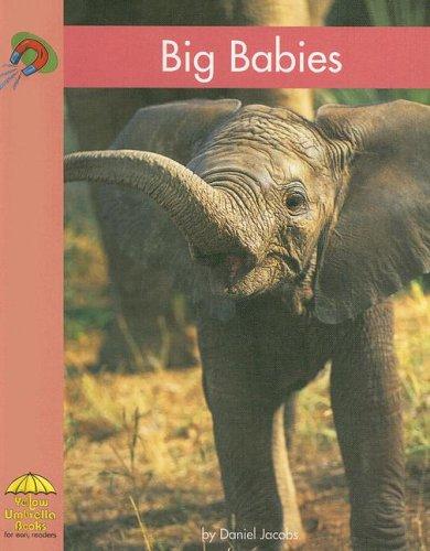 Big Babies (Yellow Umbrella Books)