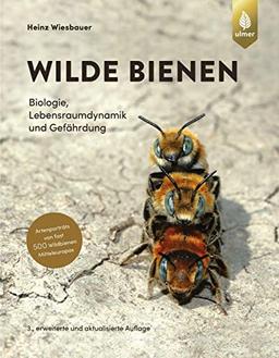 Wilde Bienen: Biologie, Lebensraumdynamik und Gefährdung. Artenporträts von fast 500 Wildbienen Mitteleuropas