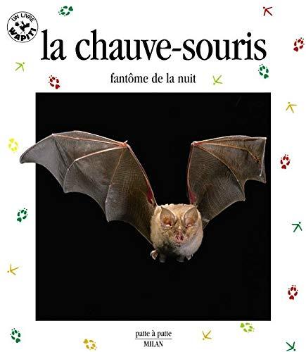 La chauve-souris : fantôme de la nuit