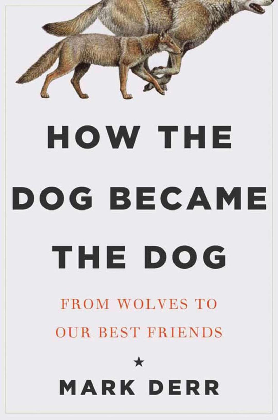 How the Dog Became the Dog: From Wolves to Our Best Friends