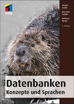 Datenbanken - Konzepte und Sprachen (mitp Professional)