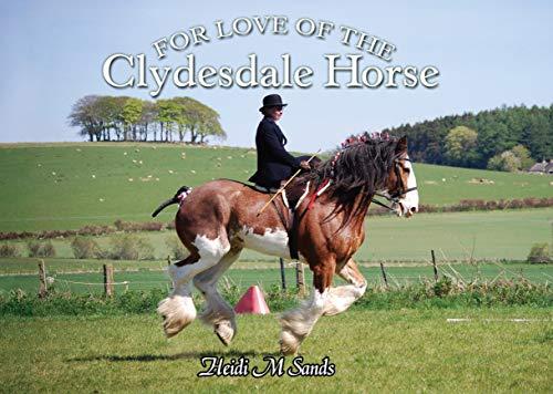 For Love of the Clydesdale Horse