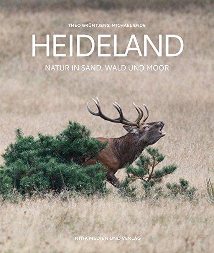 Heideland: Natur in Sand, Wald und Moor