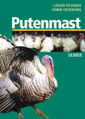 Putenmast