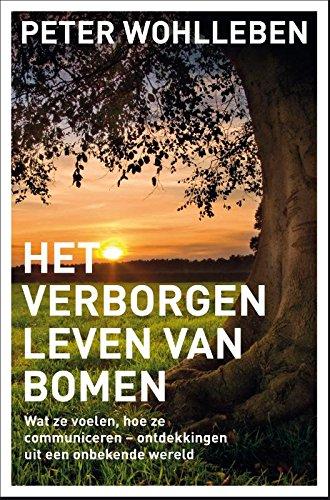 Het verborgen leven van bomen: wat ze voelen, hoe ze communiceren - ontdekkingen uit een onbekende wereld