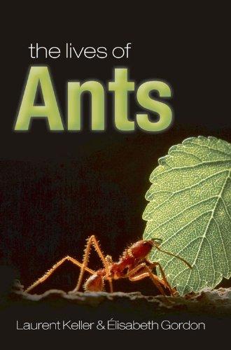 Lives of Ants