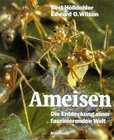 Ameisen. Die Entdeckung einer faszinierenden Welt