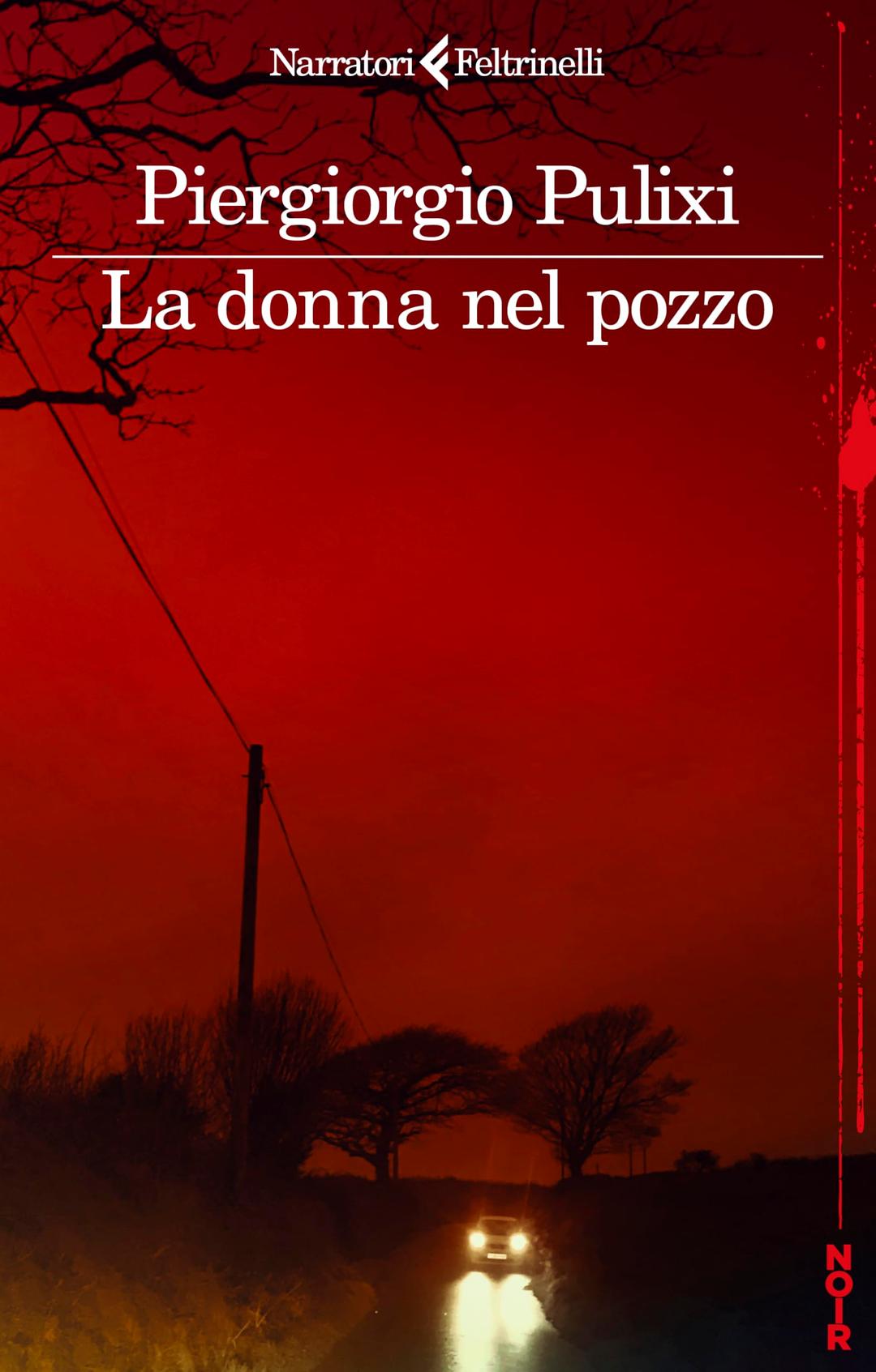 La donna nel pozzo (I narratori)