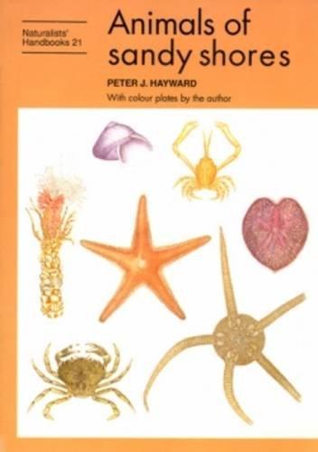 Animals of sandy shores (Naturalists' Handbooks)