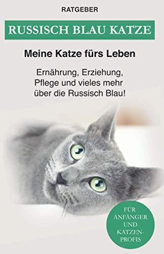 Russisch Blau Katze: Ernährung, Erziehung, Pflege, Charakter und vieles mehr über die Russisch Blau!