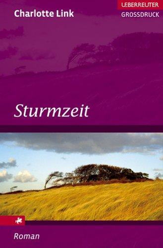 Sturmzeit. Großdruck