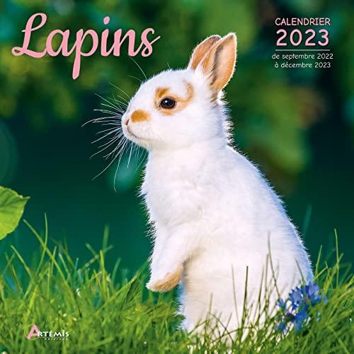 Lapins : calendrier 2023 : de septembre 2022 à décembre 2023