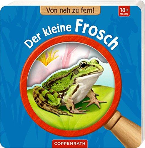 Von nah zu fern! Der kleine Frosch