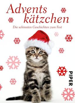 Adventskätzchen: Die schönsten Geschichten zum Fest