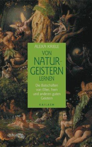 Von Naturgeistern lernen: Die Botschaften von Elfen, Feen und anderen guten Geistern