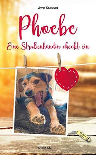 Phoebe: Eine Straßenhündin checkt ein