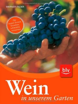 Wein in unserem Garten: Die besten Sorten. Erziehen, Schneiden, Verwerten