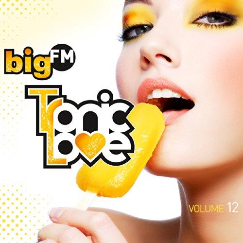 bigFM Tronic Love Vol. 12