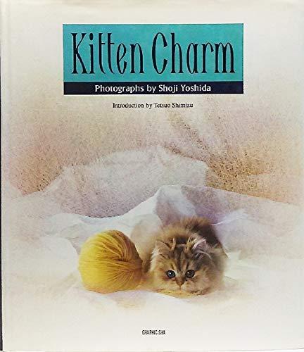 Kitten Charm