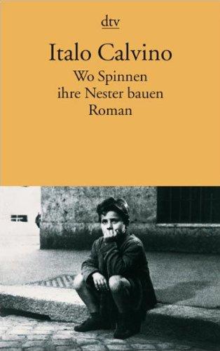 Wo Spinnen ihre Nester bauen: Roman