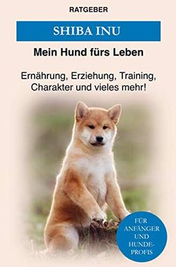 Shiba Inu: Erziehung, Training, Charakter und vieles mehr von Shiba Inu!