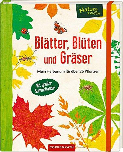 Blätter, Blüten und Gräser: Mein Herbarium für über 25 Pflanzen