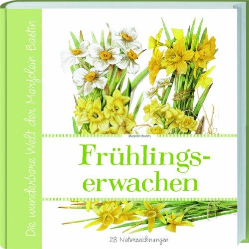 Marjolein Bastins Frühlingserwachen: 28 Naturzeichnungen