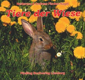 Tiere der Wiese