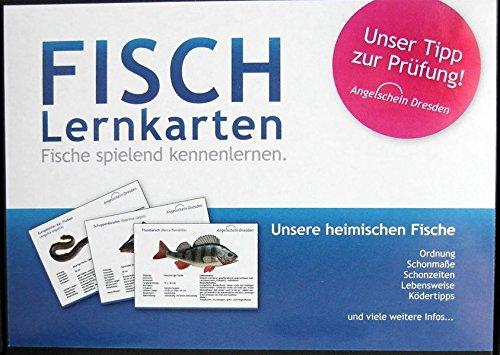 Fisch-Lernkarten: Fische spielend kennenlernen