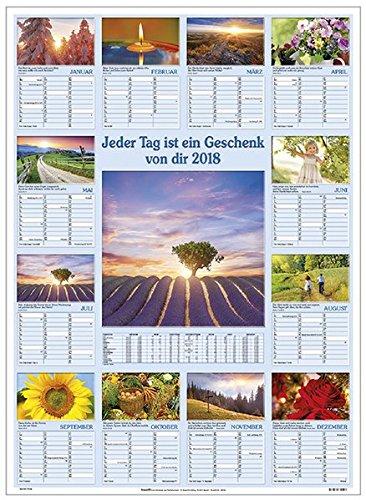 Jeder Tag ist ein Geschenk von dir 2018: Wandterminer mit Fotos und Psalmworten