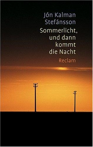 Sommerlicht, und dann kommt die Nacht: Roman