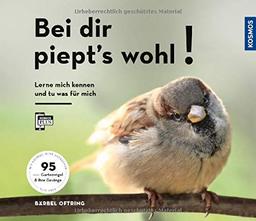 Bei dir piept´s wohl!: Lern mich kennen und tu was für mich - 70 Gartenvögel und ihre Gesänge