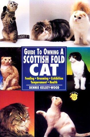 Guide to Owning a Scottish Fold Cat