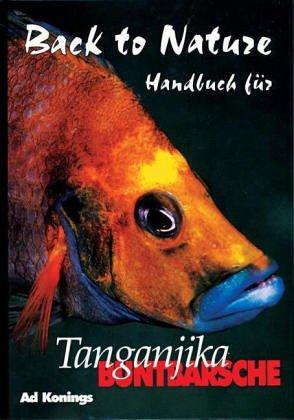 Tanganjika Buntbarsche