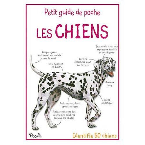 Les chiens : identifie 50 chiens