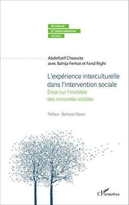 L'expérience interculturelle dans l'intervention sociale : essai sur l'invisible des minorités visibles