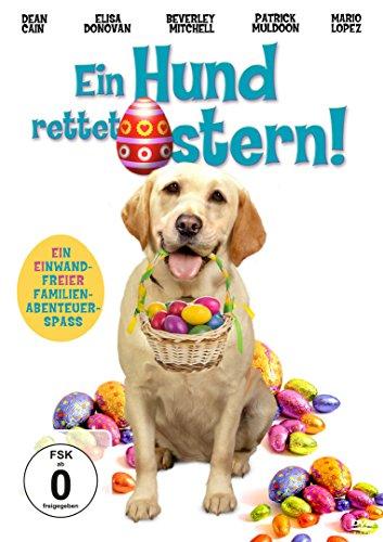 Ein Hund rettet Ostern