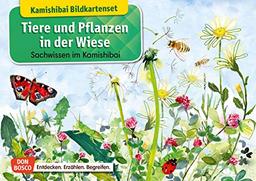 Tiere und Pflanzen in der Wiese. Kamishibai Bildkartenset. Entdecken - Erzählen - Begreifen: Sachwissen. (Sachwissen für das Kamishibai)