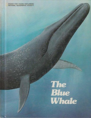 The Blue Whale: The Story of Big Blue (Books for Young Explorers)