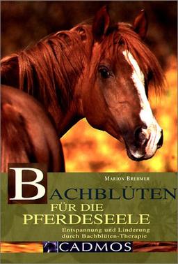 Bachblüten für die Pferdeseele: Entspannung und Linderung durch Bachblüten-Therapie