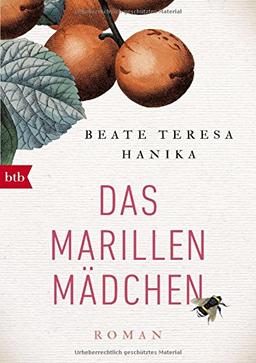 Das Marillenmädchen: Roman