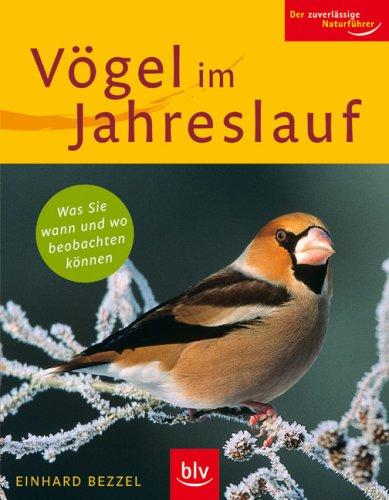 Vögel im Jahreslauf: Was Sie wann und wo beobachten können