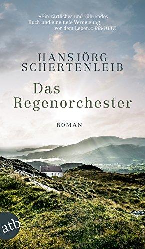 Das Regenorchester: Roman