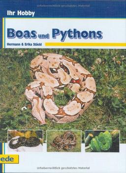 Boas und Pythons, Ihr Hobby