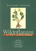 Wildpflanzen im Trend natürlicher Ernährung suchen - erkennen - sammeln - verwenden