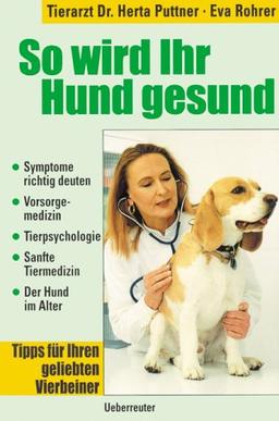 So wird ihr Hund gesund