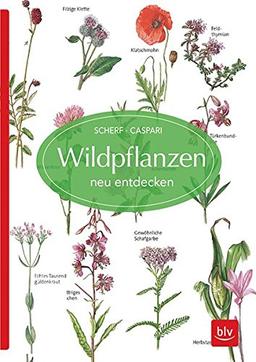 Wildpflanzen neu entdecken