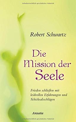 Die Mission der Seele: Frieden schließen mit leidvollen Erfahrungen und Schicksalsschlägen