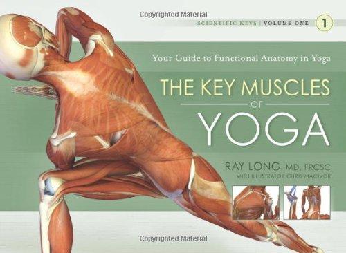 The Key Muscles of Yoga: 1 (Scientific Keys)