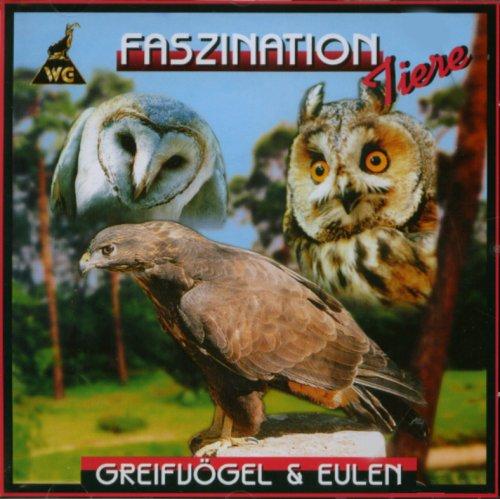 Greifvögel & Eulen (Faszination Tiere)